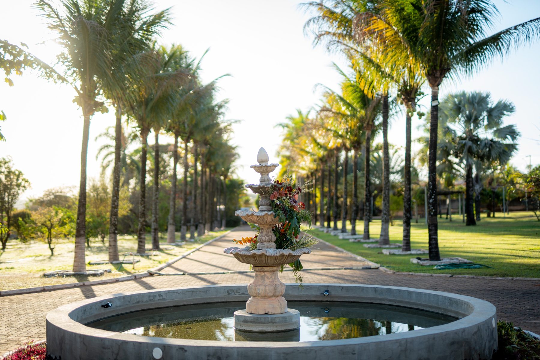 Alameda de palmeiras com fonte decorada com flores